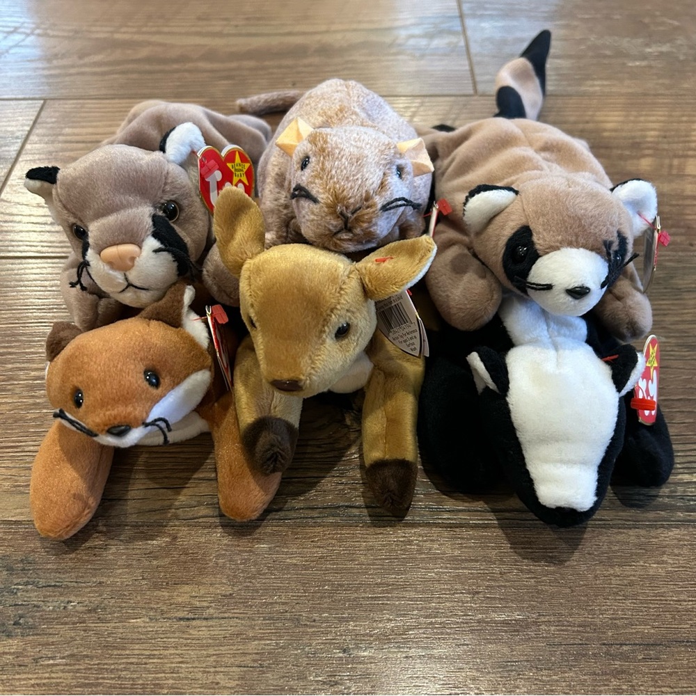 Lot of 6 Ty Beanie Babies Tiptoe, Whisper, Sly, Ringo, Stinky & Canyon